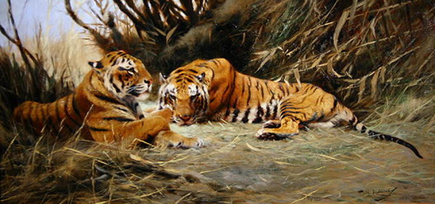 Siberian Tigers, 1913 (oil on canvas) à Wilhelm Kuhnert