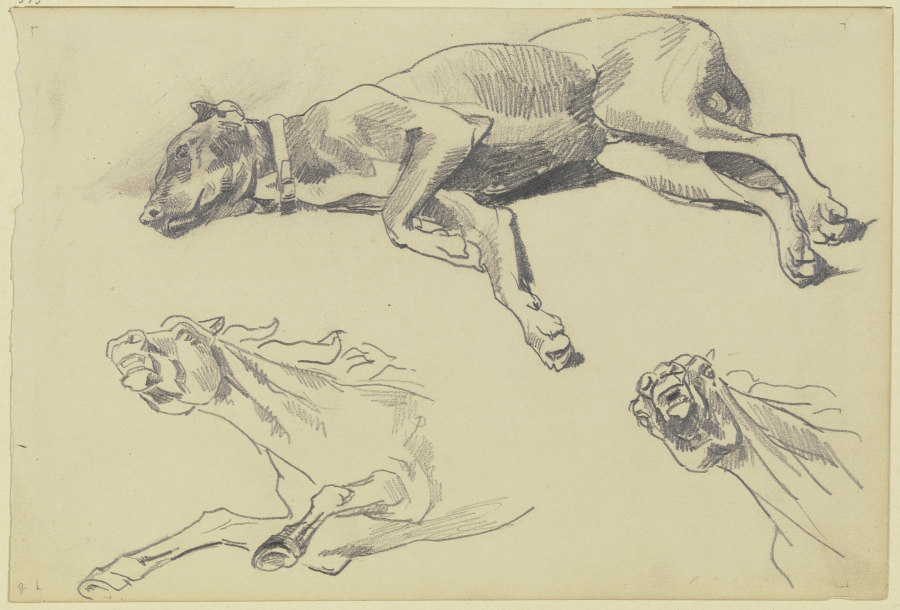Studienblatt: Die Dogge Cäsar, auf der Seite liegend nach links, schlafend; darunter zwei Pferdestud à Wilhelm Trübner