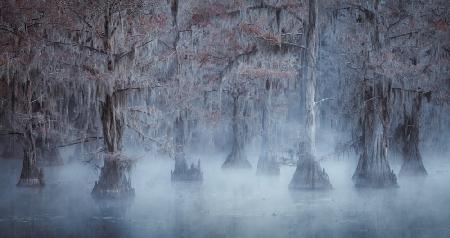 Caddo Lake