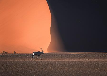 Namibia Impressions