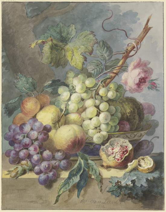Fruchtstück mit Trauben, Pfirsichen usw., dabei eine Rose à Willem van Leen