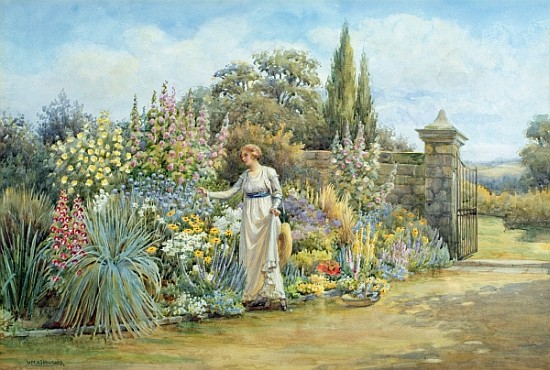 In the Garden à William Ashburner