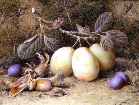 Still Life with plums and nuts à William B. Hough