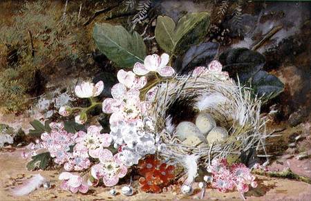 Still Life of Bird's Nest with Primulas à William Cruikshank
