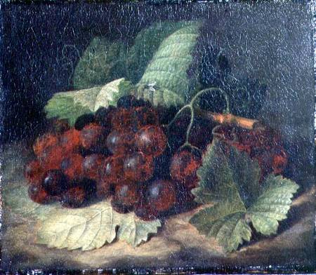 Still Life of Grapes à William Hammer