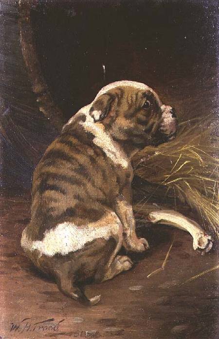 Give a Dog a Bone à William Henry Hamilton Trood