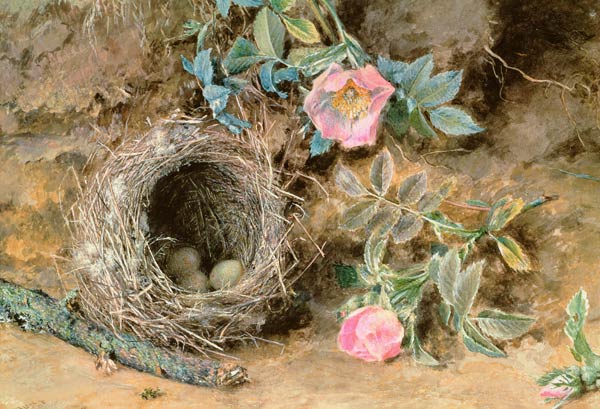 Wild Roses and Birds' Nests à William Henry Hunt