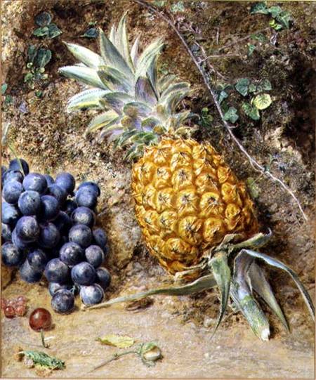 Grapes and a Pineapple à William Henry Hunt