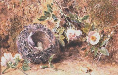Still Life with Chaffinch Nest à William Henry Hunt