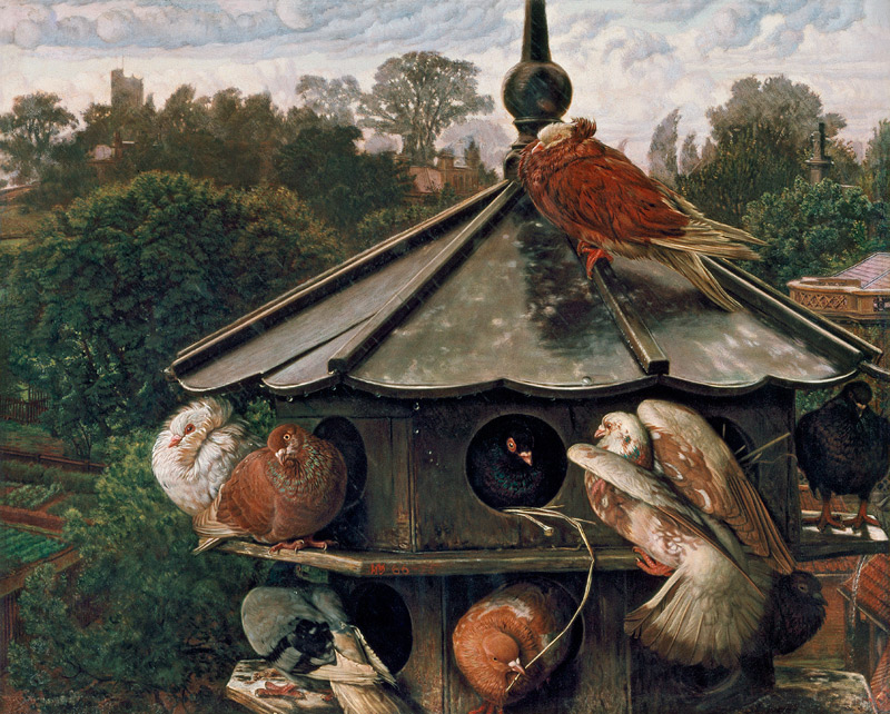 The Festival of St. Swithin or The Dovecote à William Holman Hunt
