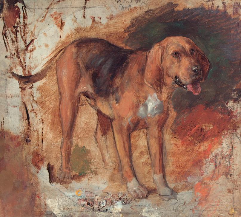 Study of a bloodhound (Studie eines Bluthundes od. Schweißhundes) à William Holman Hunt