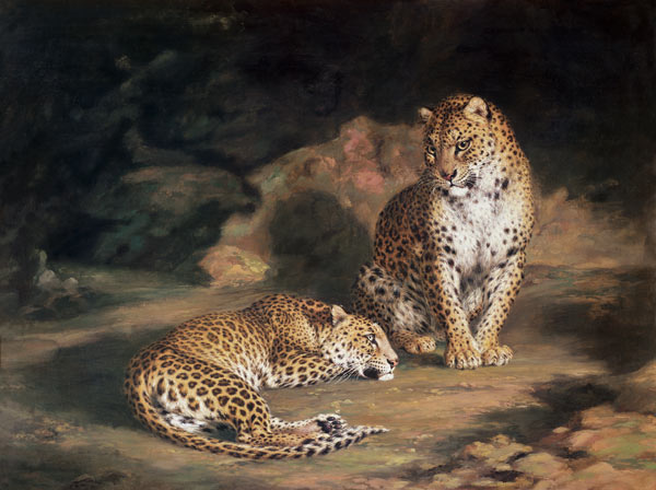 A Pair of Leopards à William Huggins
