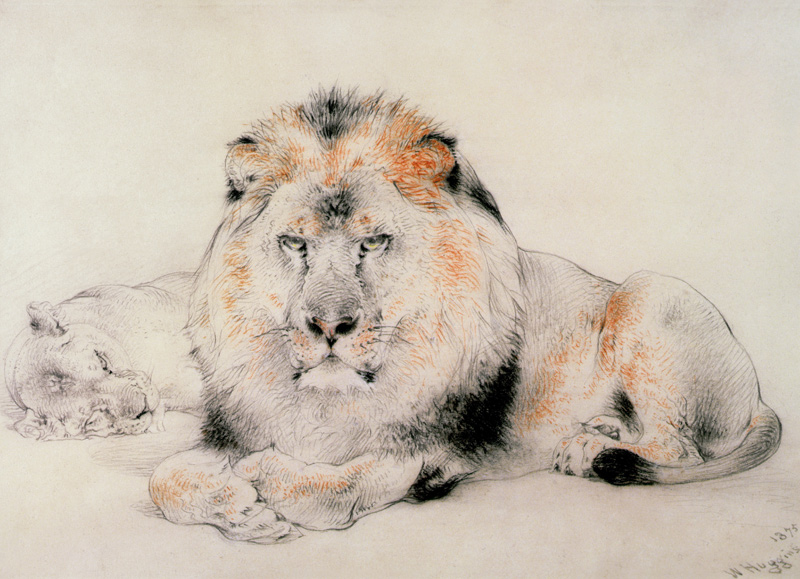 Lion and Lioness à William Huggins