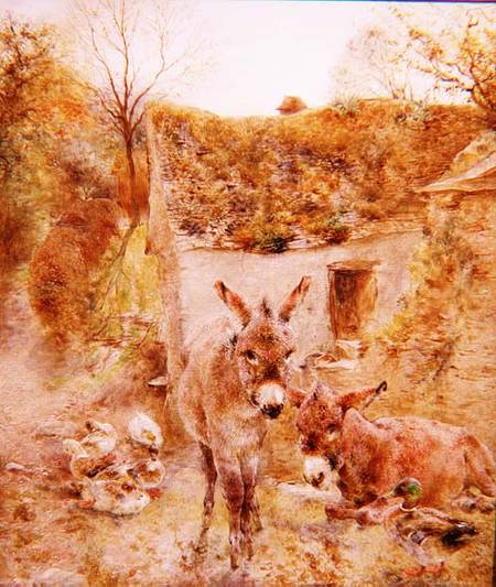 Donkeys and Ducks in a Farmyard à William Huggins