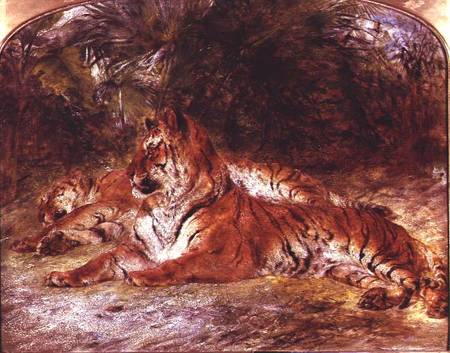 Tigers à William Huggins