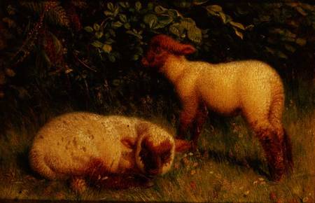Lambs à William J. Webb ou Webbe