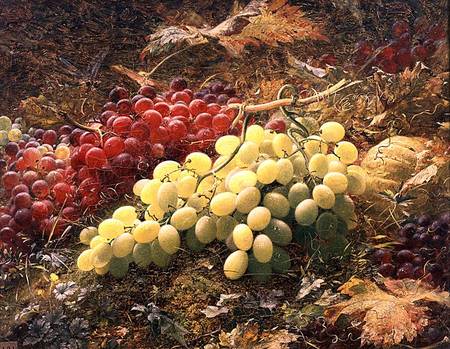 Grapes à William Jabez Muckley