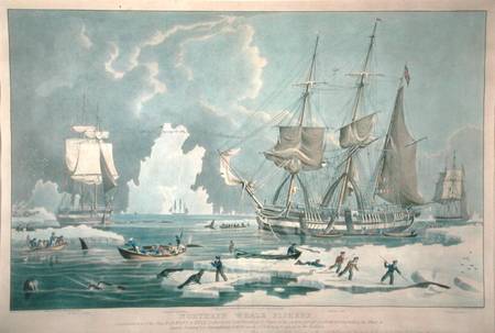 Northern Whale Fishery, engraved by E. Duncan à William John Huggins