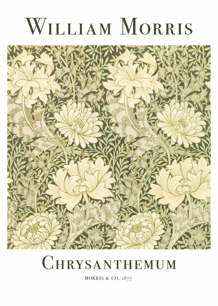 Chrysanthemum à William  Morris