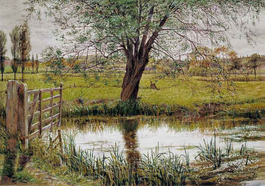 Water Meadow à William Scott