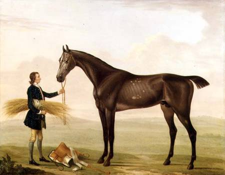 A Dapple Grey Stallion held by a Groom à William Shaw