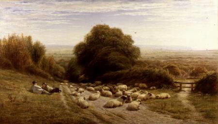 The Sunny Side of a Shepherd's Life - Near Eastbourne à William Snr. Luker
