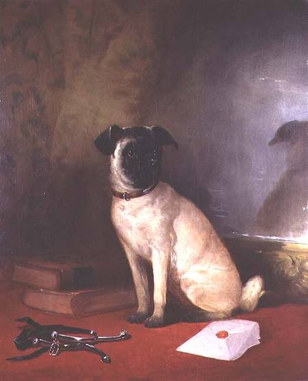 Reflection - Portrait of a Pug à William Snr. Shayer