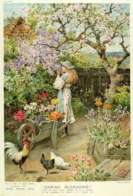 Spring Blossoms, from the Pears Annual à William Stephen Coleman