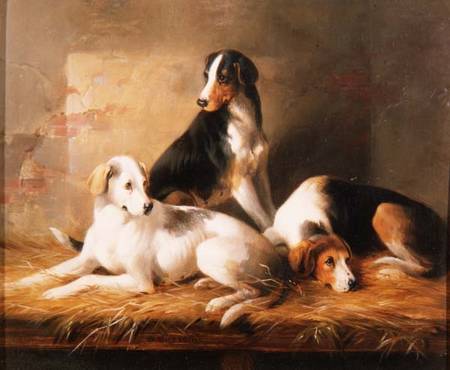 Three Hounds in a Stable à William u. Henry Barraud