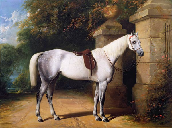 A Grey Horse by Park Gates à William u. Henry Barraud