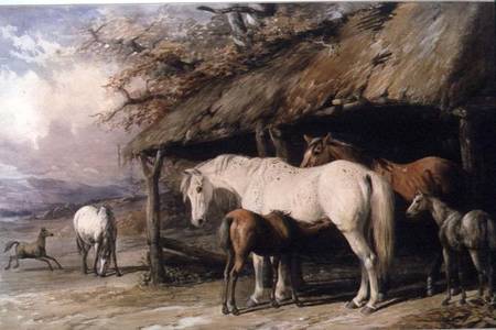 Mares and Foals à William u. Henry Barraud