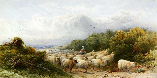 Sheep on the Downs à William W. Gosling