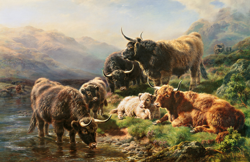 Highland Cattle à William Watson