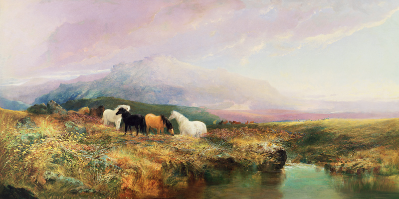 Ponies on Dartmoor à William Widgery