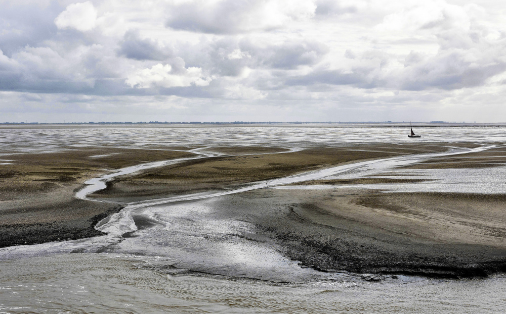 The Wadden Sea from the island Ameland à Wilma Wijers Smeets