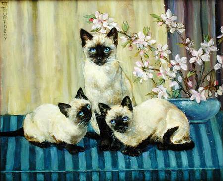 Three Siamese Cats à Winifred Humphery