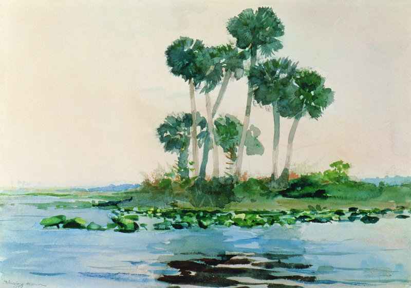 St. John's River Florida à Winslow Homer