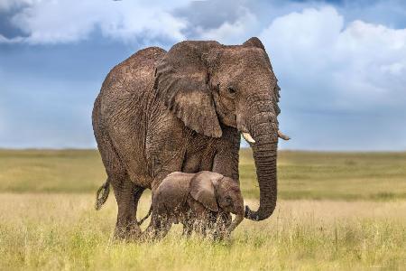 Mom elephant with her calf