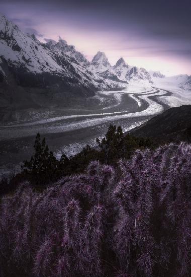 Totem of the Earth: Retreating Glaciers and Cacti