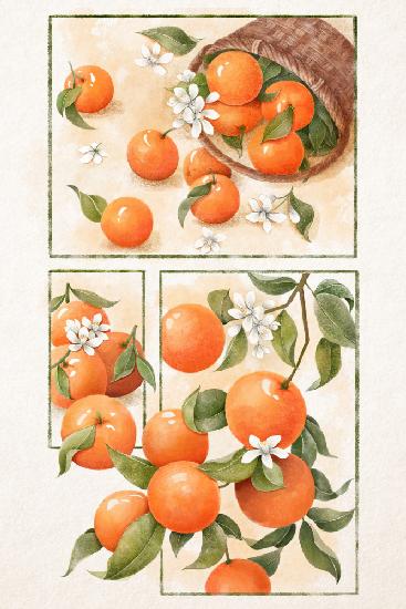 Orange Blossom