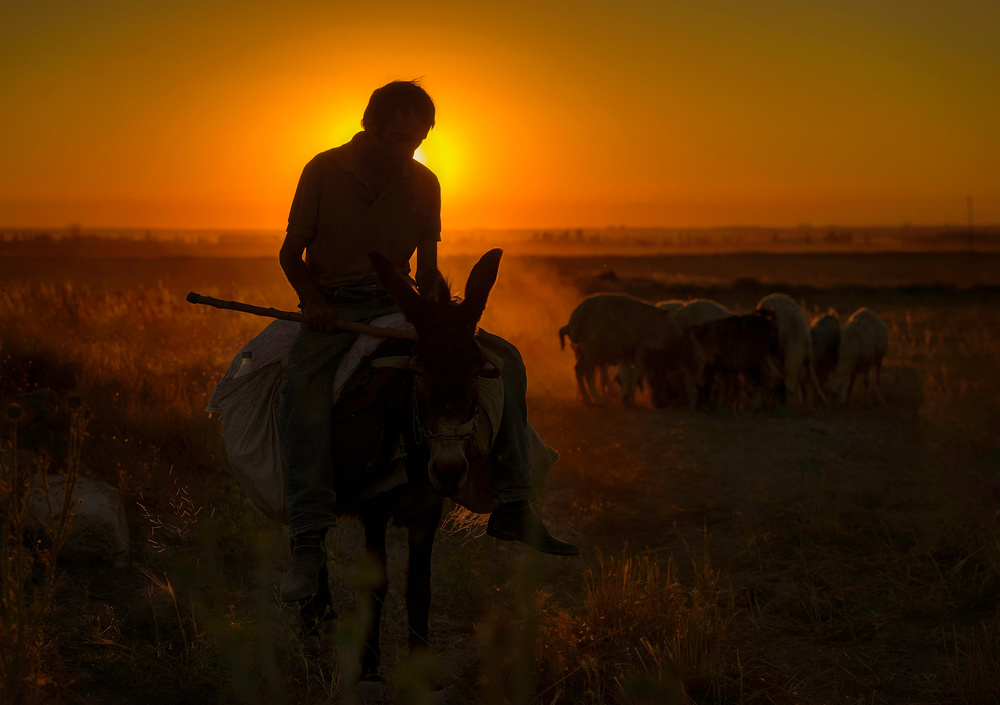 Day Ends à Yavuz Pancareken