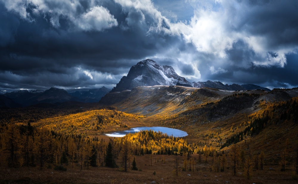 Healy Pass Golden Time à Yongnan Li （李永男）