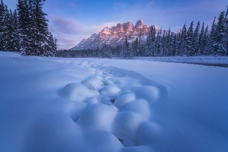 Snow Castle