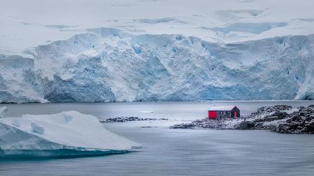 In the Ice World