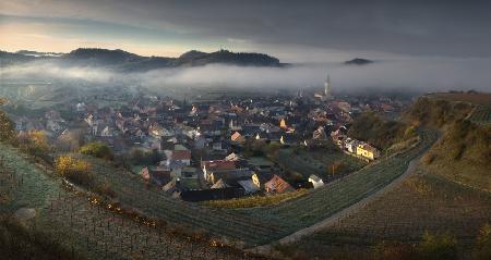 Foggy Kaiserstuhl