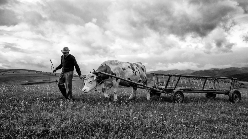 Bent spine à Zoran Toldi (EFIAP AZSF)