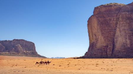 travel with camels