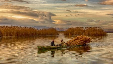 lake workers